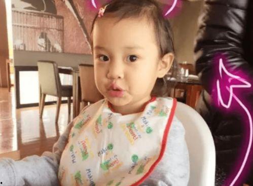 娱乐圈吃瓜贾乃亮,揭秘吃瓜背后的真相